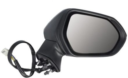 Toyota Buitenspiegel 5402042176319P