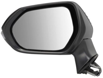 Toyota Buitenspiegel 5402042176320P