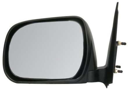 Toyota Buitenspiegel 5402049991931P