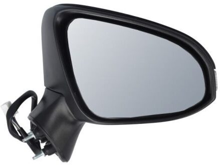 Toyota Buitenspiegel 5402161400313P