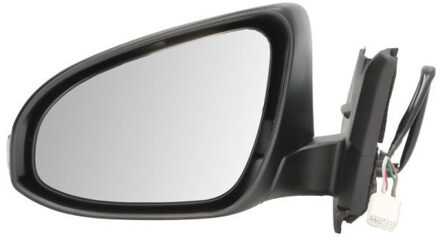 Toyota Buitenspiegel 5402191491316P