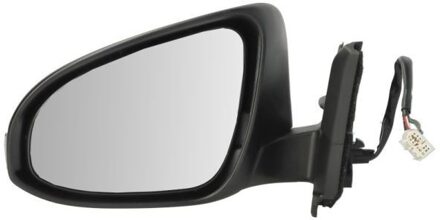 Toyota Buitenspiegel 5402191491318P