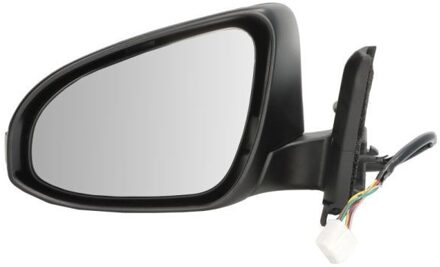 Toyota Buitenspiegel 5402191491320P