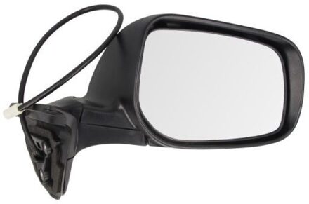 Toyota Buitenspiegel 5402192002436P