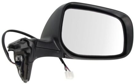 Toyota Buitenspiegel 5402192002438P