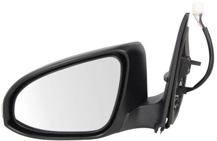 Toyota Buitenspiegel 5402192002441P