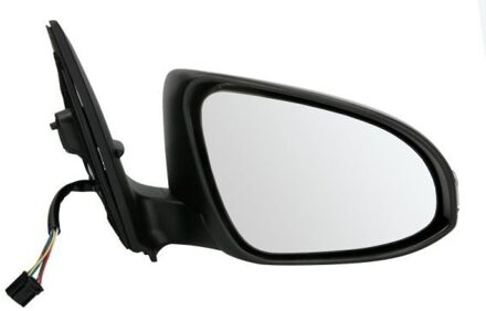 Toyota Buitenspiegel 5402192002442P