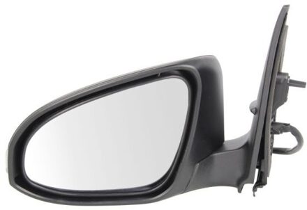Toyota Buitenspiegel 5402192002443P