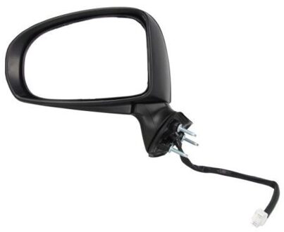 Toyota Buitenspiegel 5402192002449P
