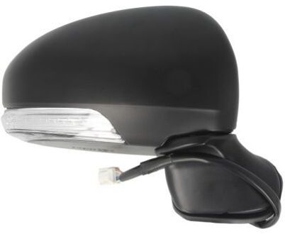 Toyota Buitenspiegel 5402192002452P