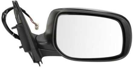 Toyota Buitenspiegel 5402192002462P
