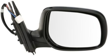 Toyota Buitenspiegel 5402192002464P