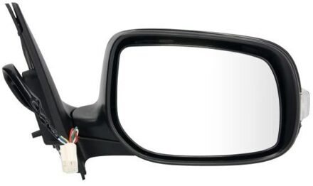 Toyota Buitenspiegel 5402192002466P