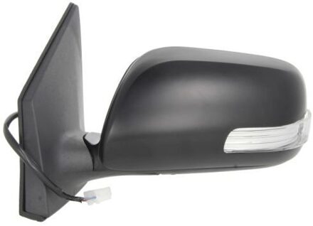 Toyota Buitenspiegel 5402192002471P