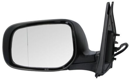 Toyota Buitenspiegel 5402192002473P