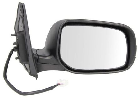 Toyota Buitenspiegel 5402192002474P