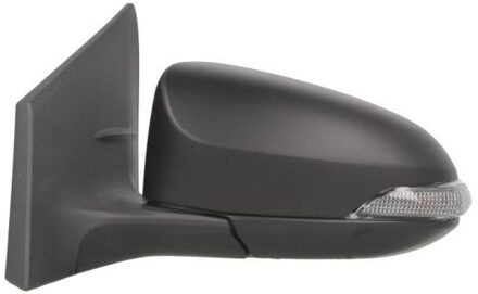 Toyota Buitenspiegel 5402192002475P