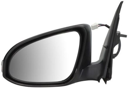 Toyota Buitenspiegel 5402192002479P