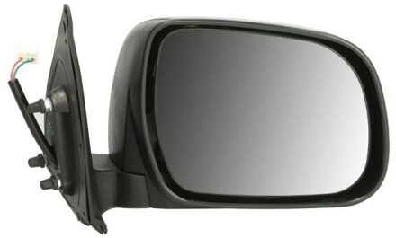 Toyota Buitenspiegel 5402192002481P