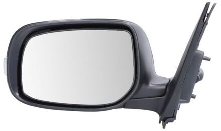 Toyota Buitenspiegel 5402192002482P