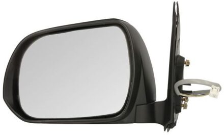 Toyota Buitenspiegel 5402192002483P