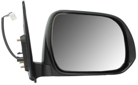 Toyota Buitenspiegel 5402192002488P