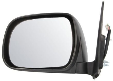 Toyota Buitenspiegel 5402192002495P