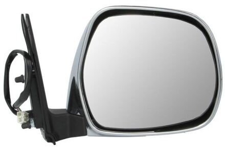 Toyota Buitenspiegel 5402192002502P