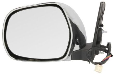 Toyota Buitenspiegel 5402192002503P