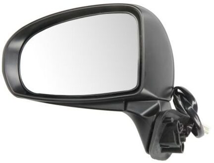 Toyota Buitenspiegel 5402192002507P