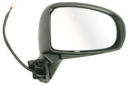 Toyota Buitenspiegel 5402192002508P