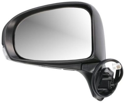 Toyota Buitenspiegel 5402192002509P