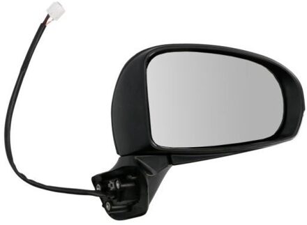 Toyota Buitenspiegel 5402192002510P