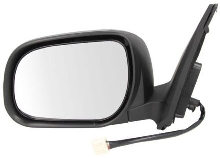 Toyota Buitenspiegel 5402192002527P