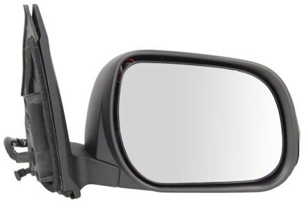 Toyota Buitenspiegel 5402192002530P