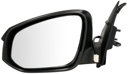 Toyota Buitenspiegel 5402192002531P