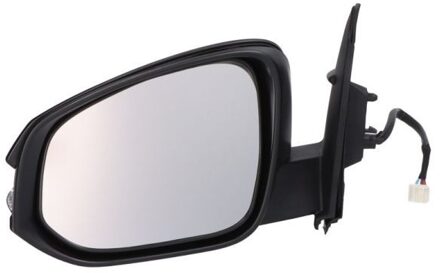 Toyota Buitenspiegel 5402192002537P