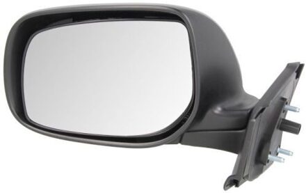 Toyota Buitenspiegel 5402192002543P