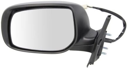 Toyota Buitenspiegel 5402192002545P