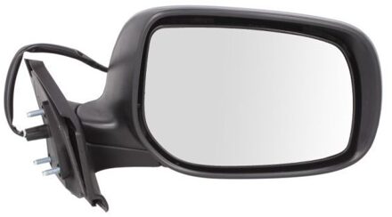 Toyota Buitenspiegel 5402192002546P