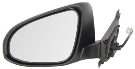 Toyota Buitenspiegel 5402192002551P