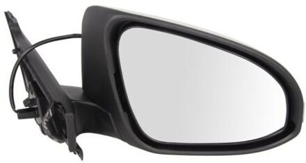 Toyota Buitenspiegel 5402192002554P