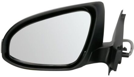 Toyota Buitenspiegel 5402192002557P