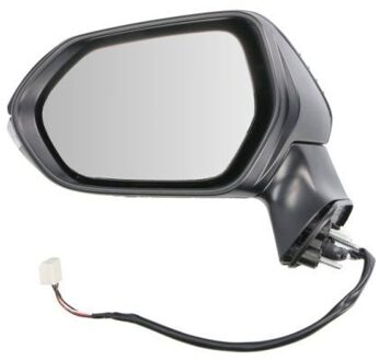 Toyota Buitenspiegel 5402192176310P