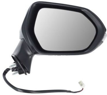 Toyota Buitenspiegel 5402192176311P