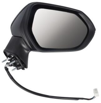 Toyota Buitenspiegel 5402192176313P