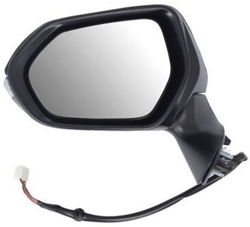 Toyota Buitenspiegel 5402192505310P