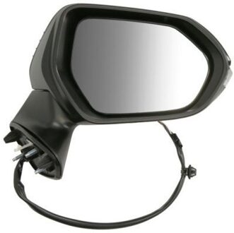 Toyota Buitenspiegel 5402192505311P