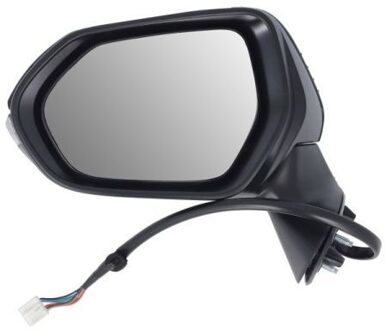 Toyota Buitenspiegel 5402192505312P