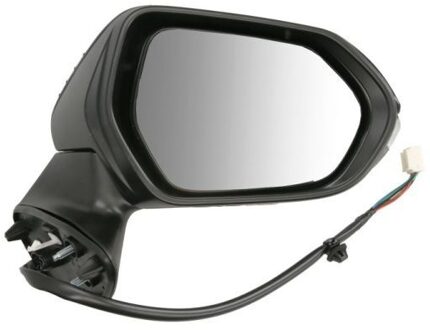 Toyota Buitenspiegel 5402192505313P